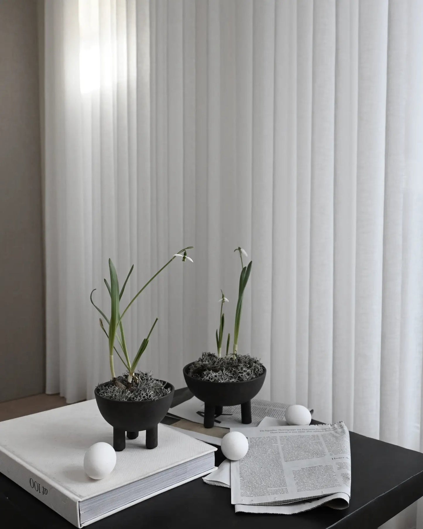 101 Copenhagen - Duck Bowl