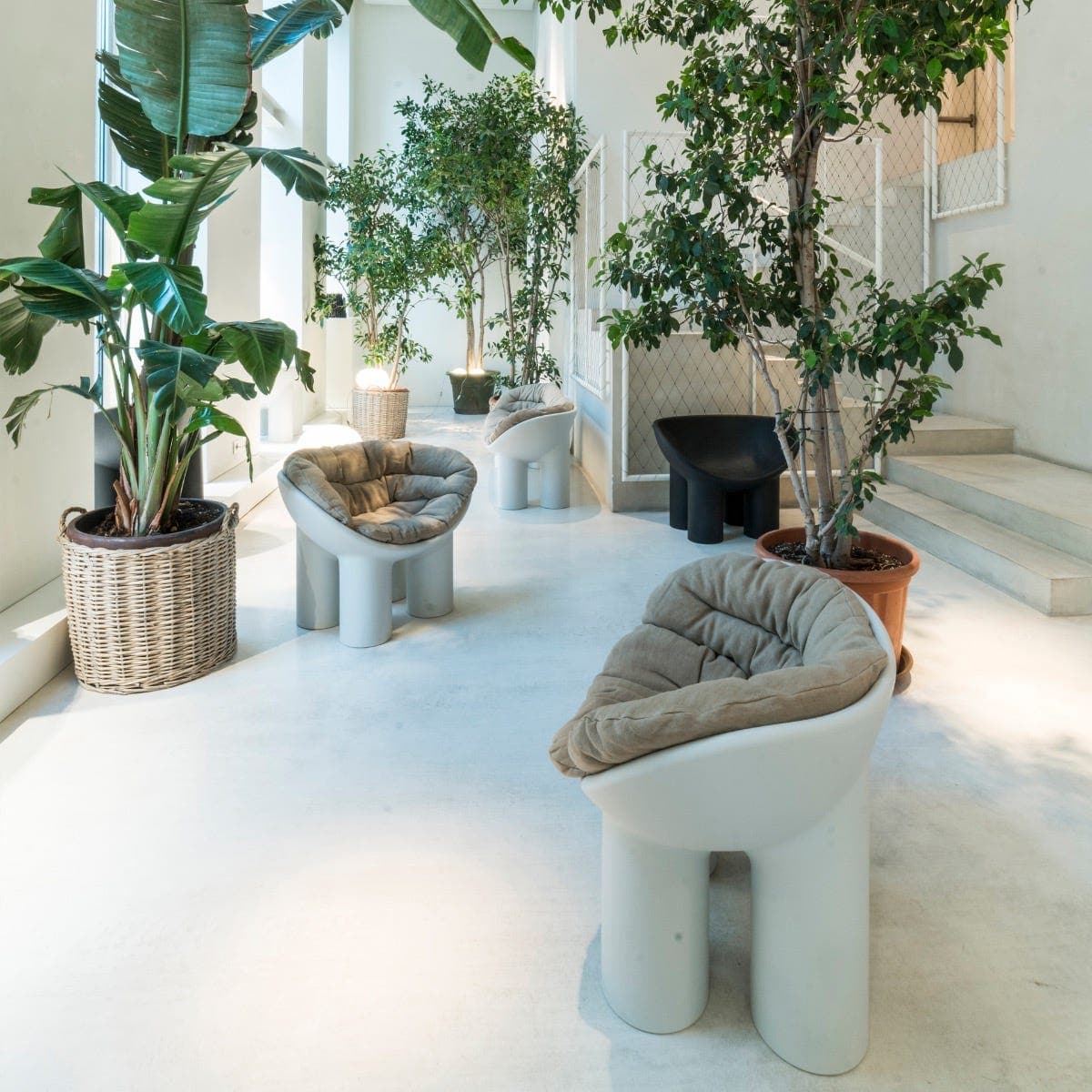 Driade - Roly Poly Armchair