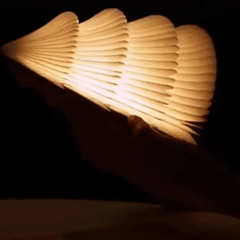 Walnut Decorative Lights