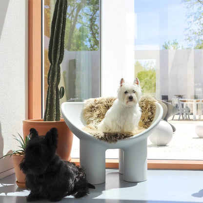 Driade - Roly Poly Armchair